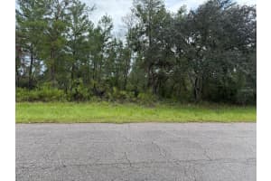 MARION OAKS LN, OCALA, FL 34473 - MLS#MFRA4665141