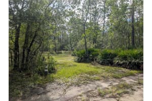 4538 SHADOW WALK LANE, NEW SMYRNA BEACH, FL 32168 - MLS#MFRA4665180