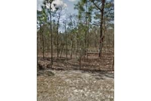 142ND STREET, WILLISTON, FL 32696 - MLS#MFRA4665225