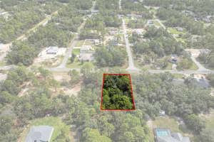 7220 MALTESE DRIVE, CITRUS SPRINGS, FL 34433 - MLS#MFRA4665455