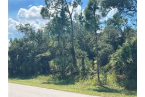 299 TROUTDALE STREET, PORT CHARLOTTE, FL 33954 - MLS#MFRA4665470