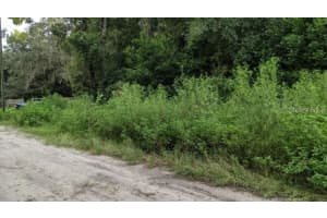 DORSEY DRIVE - LOT 10 &11, NEW PORT RICHEY, FL 34654 - MLS#MFRA4665540