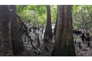 DORSEY DRIVE - LOT 10 &11, NEW PORT RICHEY, FL 34654 - MLS#MFRA4665540