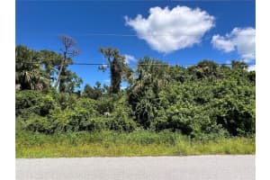 CHIPLEY AVE, NORTH PORT, FL 34286 - MLS#MFRA4665741