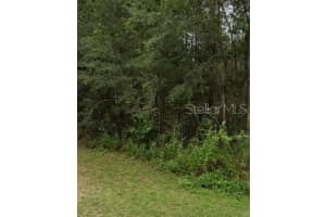 ELEVENTH, WILLISTON, FL 32696 - MLS#MFRA4665923