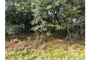 MLS# MFRA4666045, North Port, Florida 34286