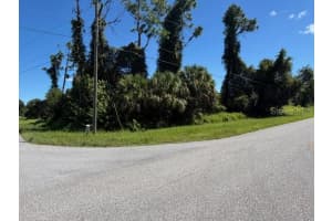 Lot 1 NORDENDALE BOULEVARD, NORTH PORT, FL 34288 - MLS#MFRA4666250
