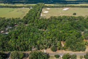 12950 OAKVIEW AVENUE, FLORAL CITY, FL 34436 - MLS#MFRA4666407