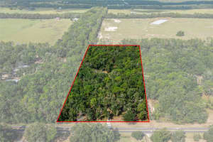 12950 OAKVIEW AVENUE, FLORAL CITY, FL 34436 - MLS#MFRA4666407