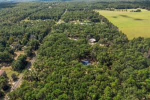 12950 OAKVIEW AVENUE, FLORAL CITY, FL 34436 - MLS#MFRA4666407