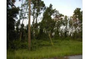 DOUGLAS RD, NORTH PORT, FL 34288 - MLS#MFRA4666536