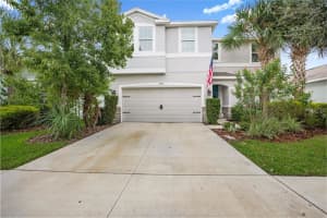 7537 Lantern Park Ave, APOLLO BEACH 7537 Lantern Park Ave, APOLLO BEACH