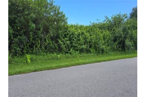 167 LENOIR STREET, PORT CHARLOTTE, FL 33948 - MLS#MFRA4666630