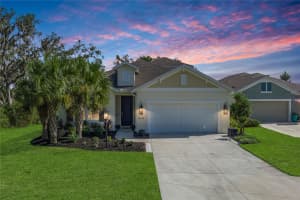 4446 RUSTLING PINES TERRACE, PARRISH, FL 34219 - MLS#MFRA4666676