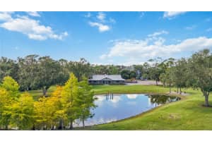 14690 MOSSY HAMMOCK LANE, MYAKKA CITY, FL 34251 - MLS#MFRA4666699