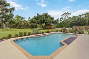 14690 MOSSY HAMMOCK LANE, MYAKKA CITY, FL 34251 - MLS#MFRA4666699