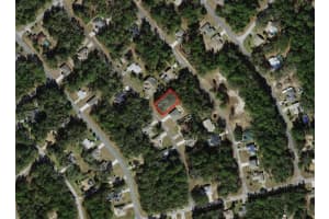 9049 ALPINIA DRIVE, CITRUS SPRINGS, FL 34434 Sold 10/24/25