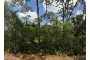 23279 MCQUEENEY AVENUE, PUNTA GORDA, FL 33980 - MLS#MFRA4667005