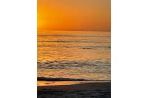 618 BAYPORT WAY BAYPORT WAY #618, LONGBOAT KEY, FL 34228 - MLS#MFRA4667152