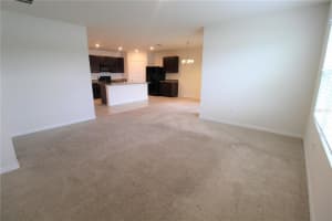 3925 PARK WILLOW AVENUE, PALMETTO, FL 34221 - MLS#MFRA4667167