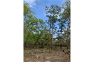 33074 RANCH ROAD, DADE CITY, FL 33523 - MLS#MFRA4667316