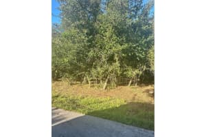 13 SUNFLOWER STREET, PUNTA GORDA, FL 33982 - MLS#MFRA4667354