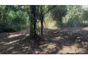 13 SUNFLOWER STREET, PUNTA GORDA, FL 33982 - MLS#MFRA4667354