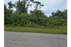 13381 AMARYLLIS CIRCLE, PORT CHARLOTTE, FL 33981 - MLS#MFRA4667434