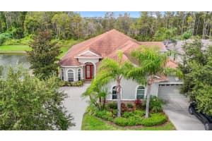 20952 AMANDA OAK COURT, LAND O LAKES, FL 34638 - MLS#MFRA4667584