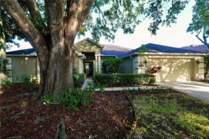 3749 PENDLEBURY DRIVE, PALM HARBOR, FL 34685 - MLS#MFRA4667669