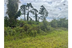 8178 DIMSTEAD STREET, PORT CHARLOTTE, FL 33981 - MLS#MFRA4668286