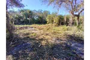 4193 CHIPPEWA STREET, PORT CHARLOTTE, FL 33981 - MLS#MFRA4668473