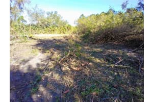 4193 CHIPPEWA STREET, PORT CHARLOTTE, FL 33981 - MLS#MFRA4668473