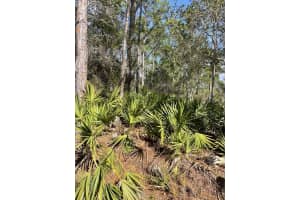 32 FYFE AVENUE, DEBARY, FL 32713 - MLS#MFRA4668838