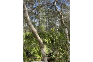 32 FYFE AVENUE, DEBARY, FL 32713 - MLS#MFRA4668838