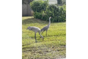 32 FYFE AVENUE, DEBARY, FL 32713 - MLS#MFRA4668838