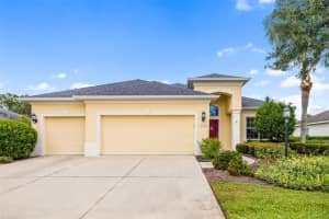16422 RIVERS REACH BOULEVARD, PARRISH, FL 34219 - MLS#MFRA4668859