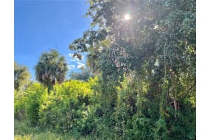 MLS# MFRA4669171, Port Charlotte, Florida 33952