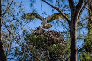 9512 COLONIAL DRIVE, BRADENTON, FL 34210 - MLS#MFRA4669575