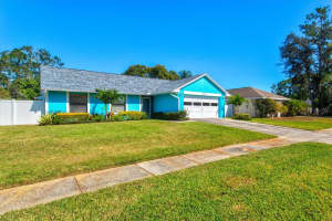 5135 NASHVILLE DRIVE, TAMPA, FL 33624 - MLS#MFRA4669692