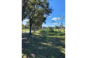 17171 17TH CIRCLE, OCALA, FL 34473 - MLS#MFRA4669704