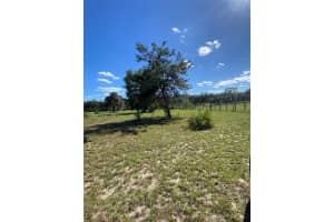 17171 17TH CIRCLE, OCALA, FL 34473 - MLS#MFRA4669704