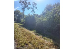 29221 DEFIANCE AVENUE, PUNTA GORDA, FL 33982 - MLS#MFRA4669735