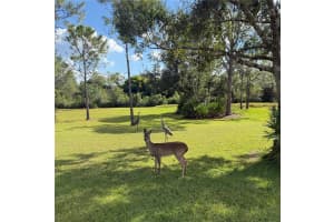 1408 OAK HAMMOCK ROAD, SARASOTA, FL 34240 - MLS#MFRA4669875