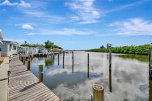 247 PALM LANE, PALMETTO, FL 34221 - MLS#MFRA4669882