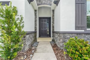 16781 GLACIER BAY LOOP, WIMAUMA, FL 33598 - MLS#MFRA4669893