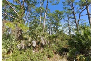 17301 BRYNWOOD LANE, OKEECHOBEE, FL 34974 - MLS#MFRA4669967