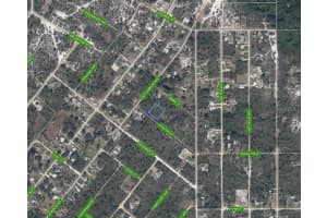 1306 ACALPHA STREET, LAKE PLACID, FL 33852 - MLS#MFRA4670026