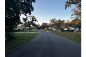 1 GRAYTWIG COURT, HOMOSASSA, FL 34446 - MLS#MFRA4670202