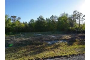 1327 ST AUGUSTINE COURT, KISSIMMEE, FL 34759 - MLS#MFRA4670305